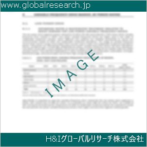 グローバルリサーチ調査資料のイメージ